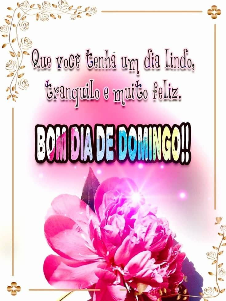 Que vocês tenham um dia lindo de domingo família