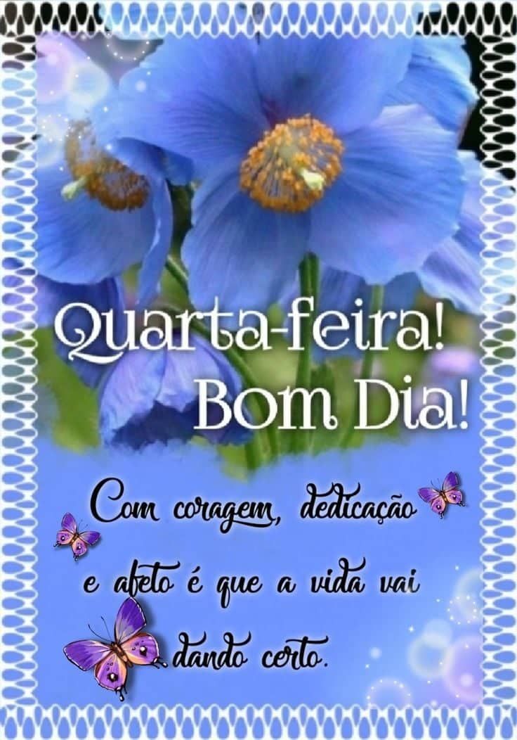 Querta feira chegou bom dia