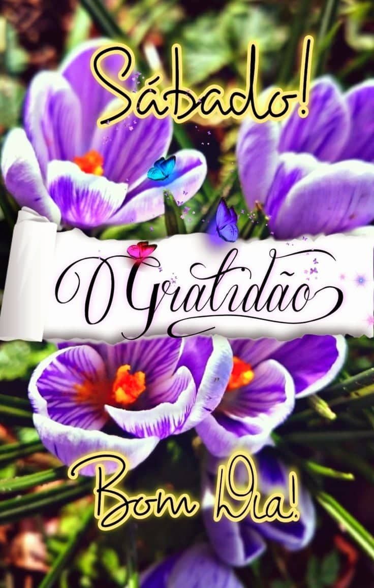 Sábado com gratidão bom dia