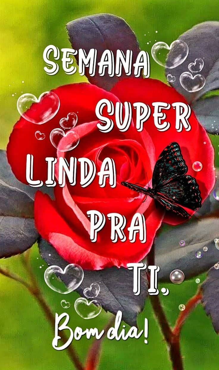 Semana super linda pra ti bom dia