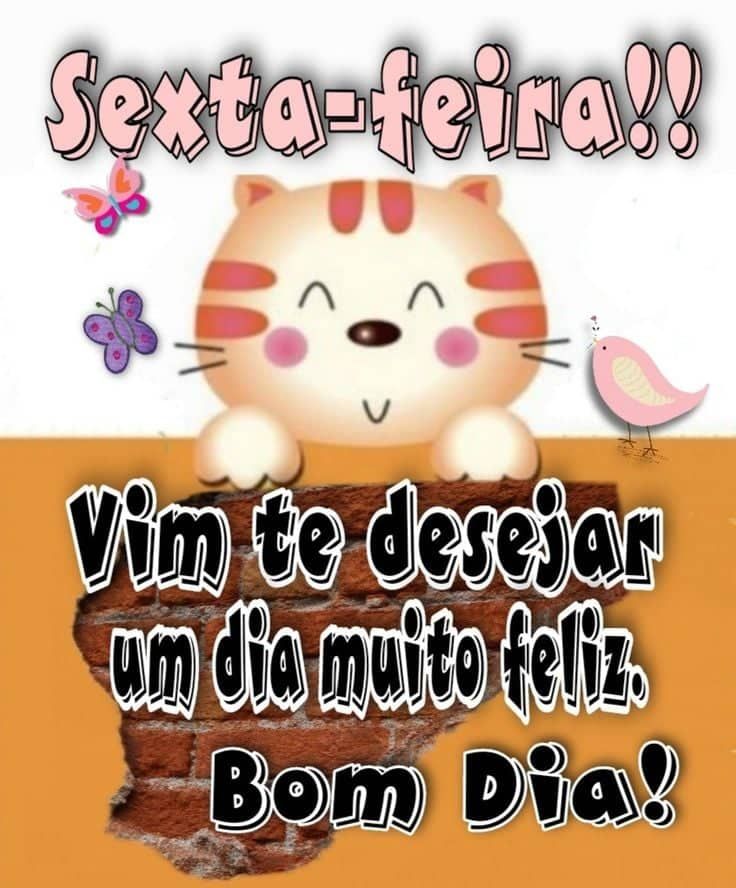 Sexta feira só vim te desejar um bom dia