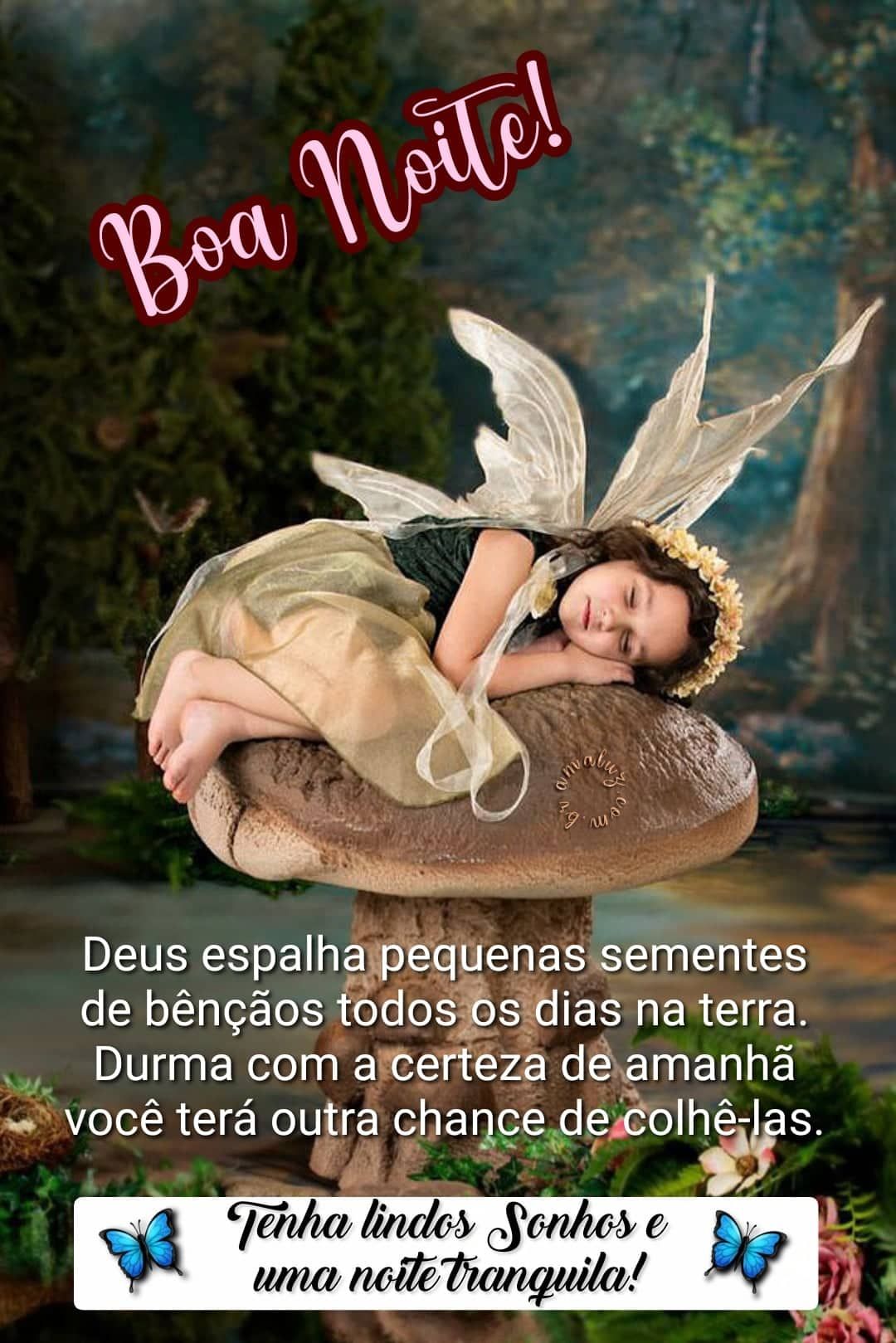 Tenha lindos sonhos e uma noite tranquila