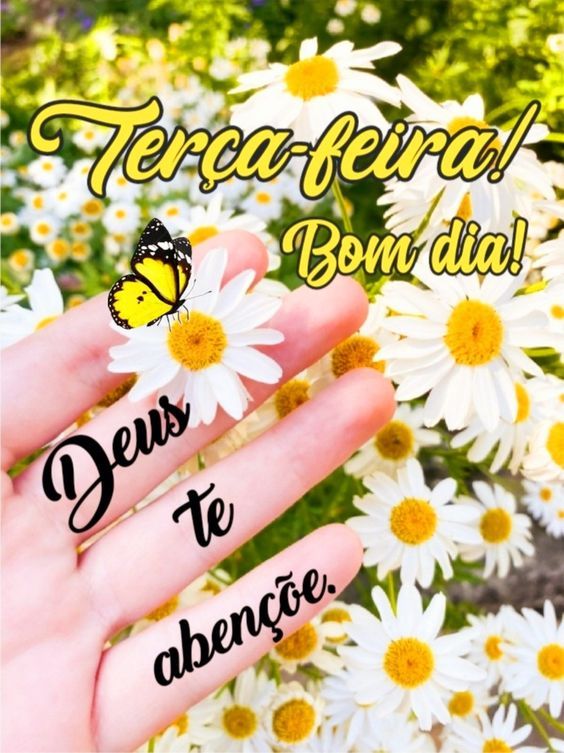 Terça feira bom dia e Deus te abençoe