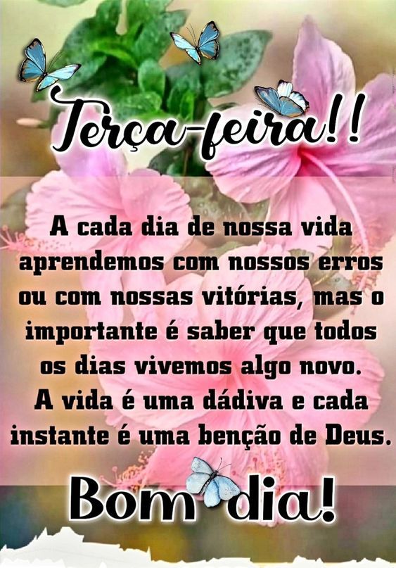 Terça feira bom dia!