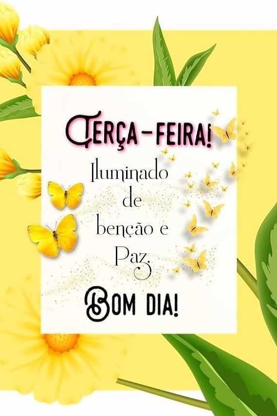 Terça feira iluminada de amor e carinho bom dia