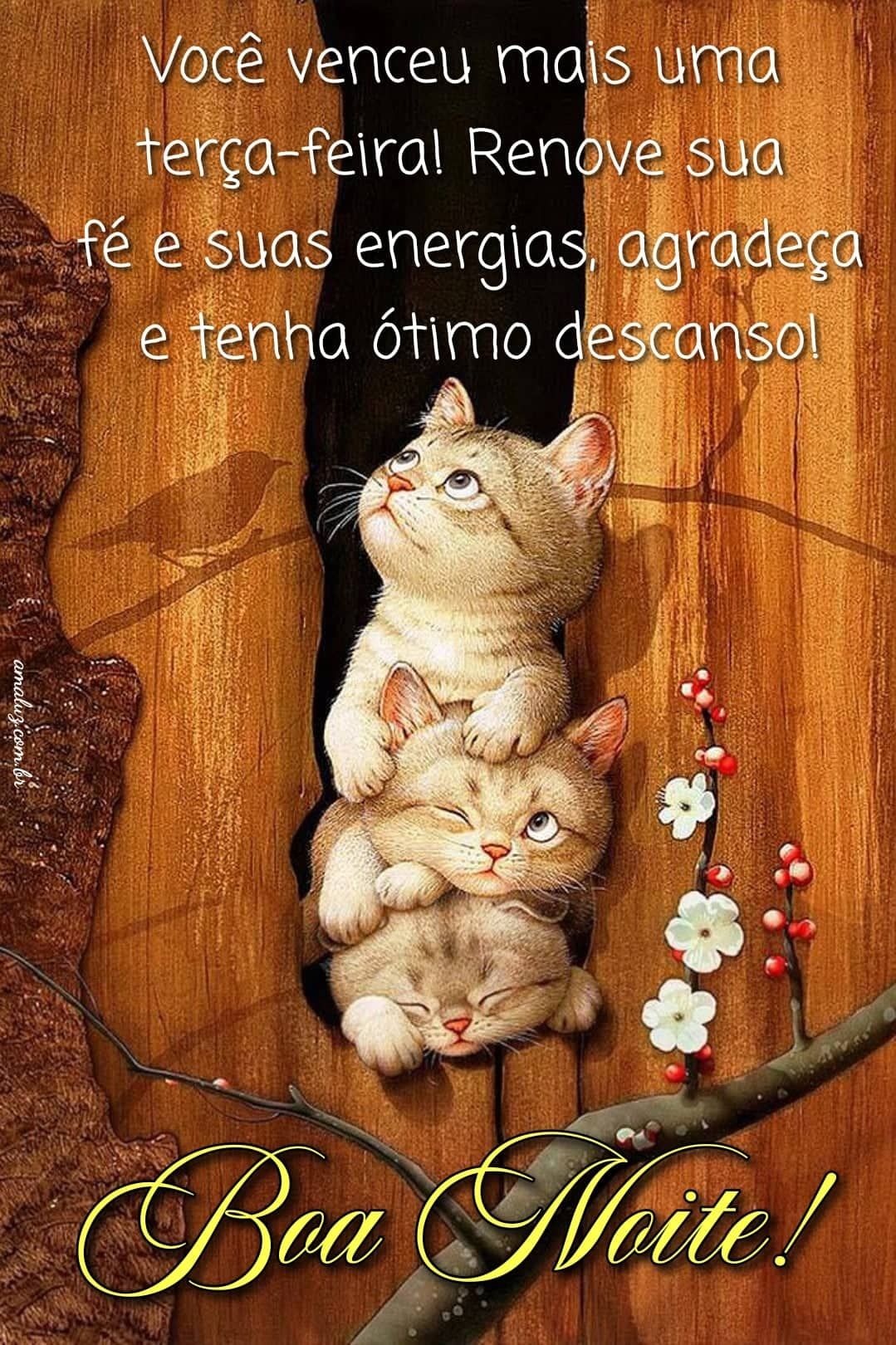 Você venceu mais uma terça feira boa noite