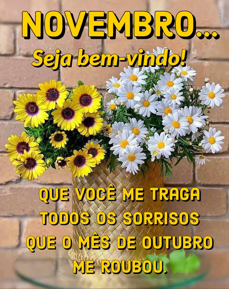 Adeus outubro novembro seja bem vindo