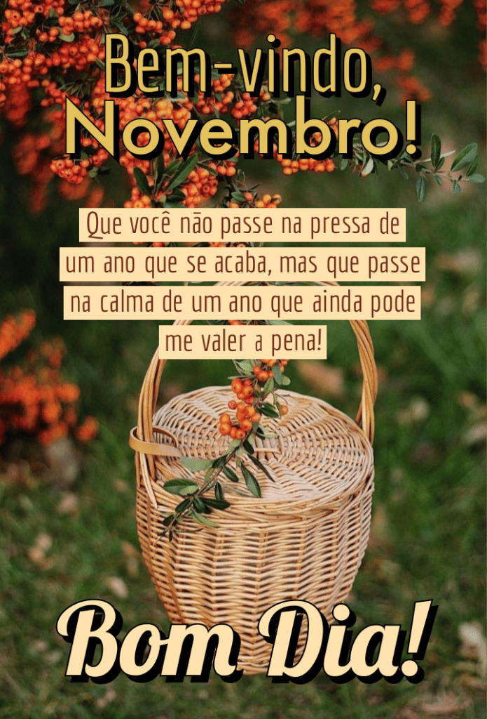 Bem vindo novembro e bom dia especial
