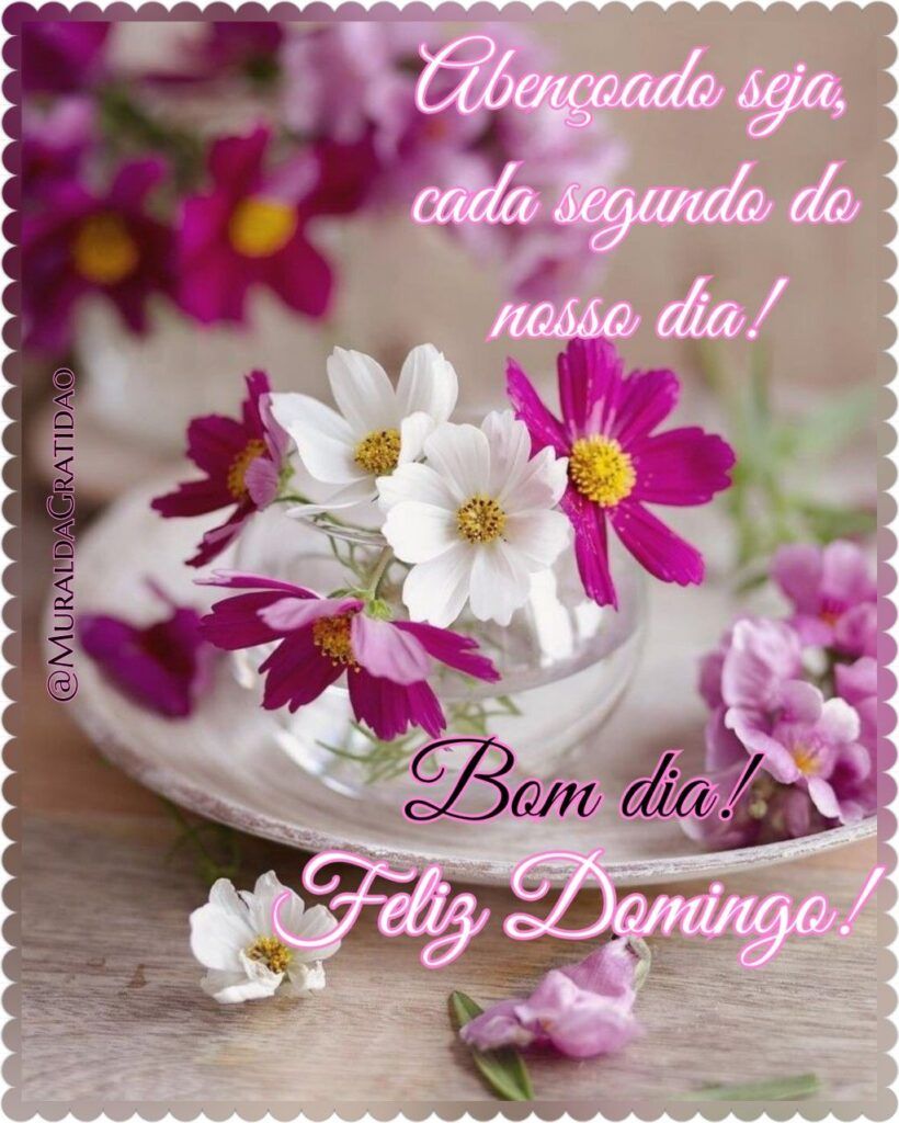 Bom dia de domingo