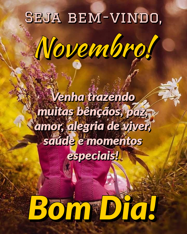 Bom dia novembro bem vindo