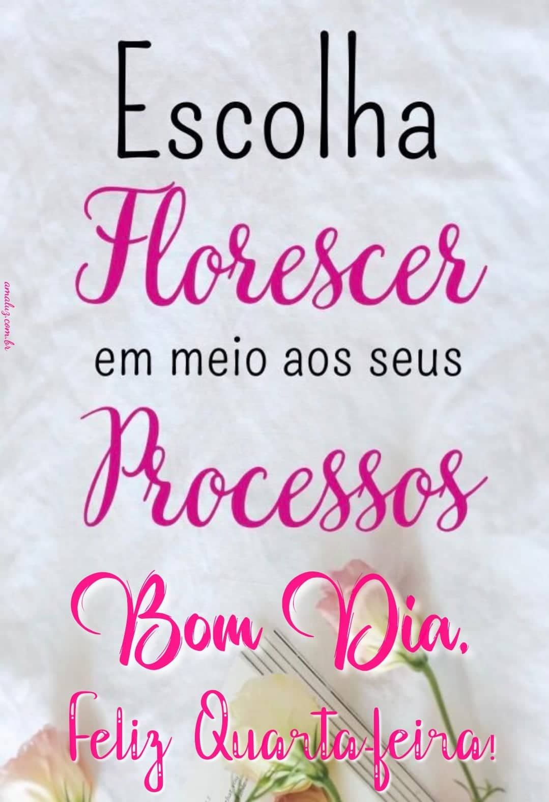 Bom dia quarta feira com frases