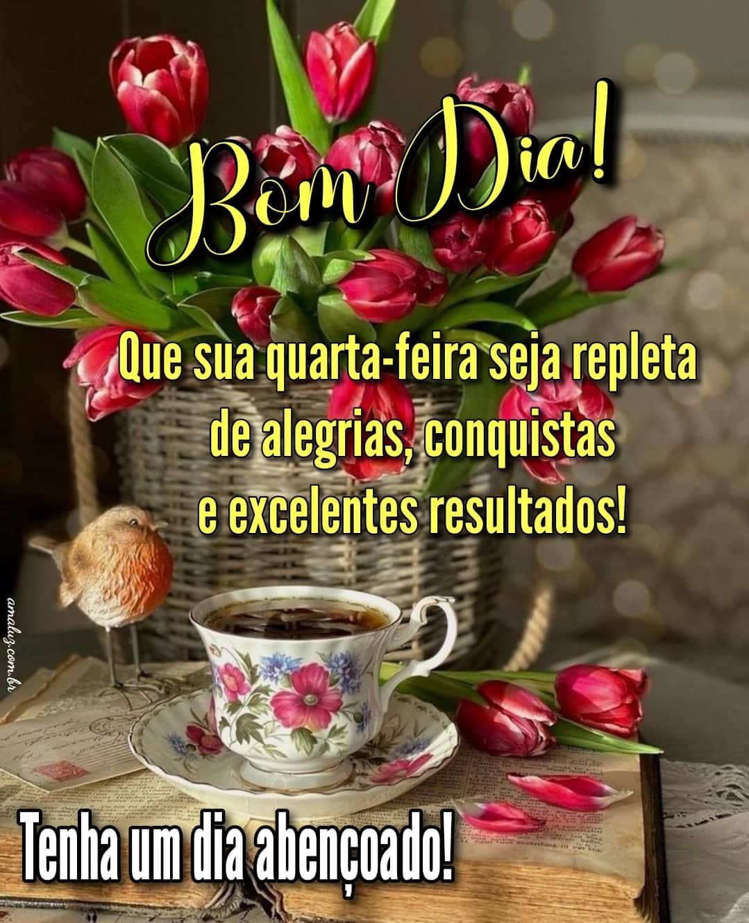 Bom dia que sua quarta feira seja repleta de alegrias