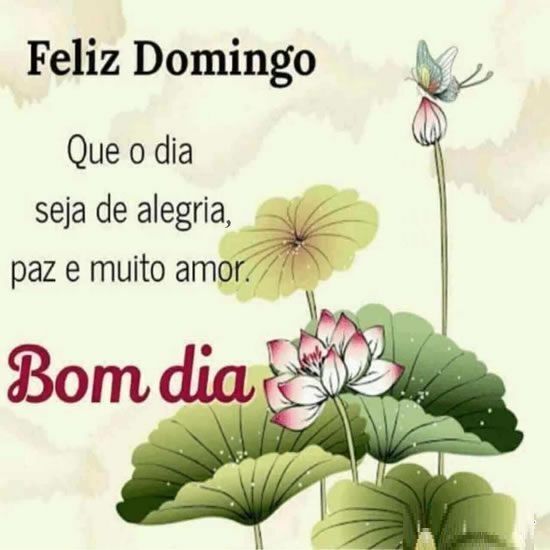 Domingo de alegria e paz