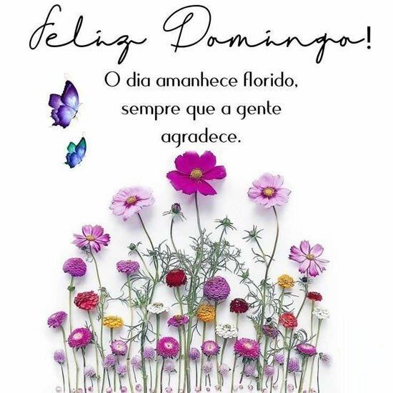 Domingo florido
