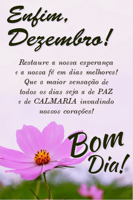 Enfim ddezembro mensagens bom dia