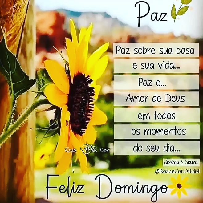 Feliz domingo de paz