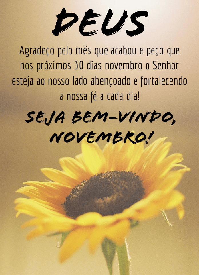 Frases e seja bem vindo novembro