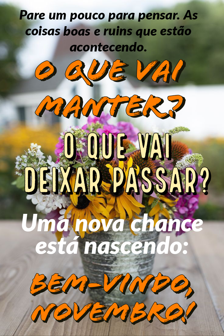 Frases legais e bem vindo novembro