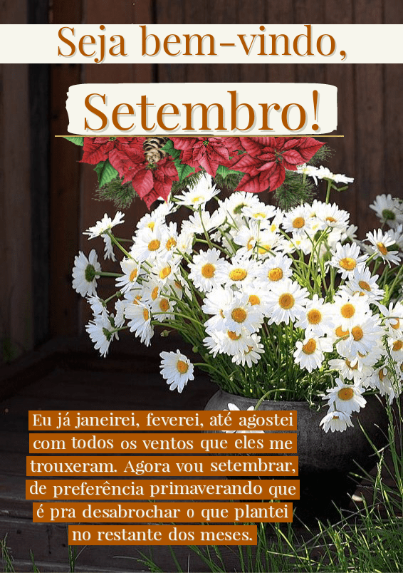 Imagens de flores e frases e seja bem vindo setembro