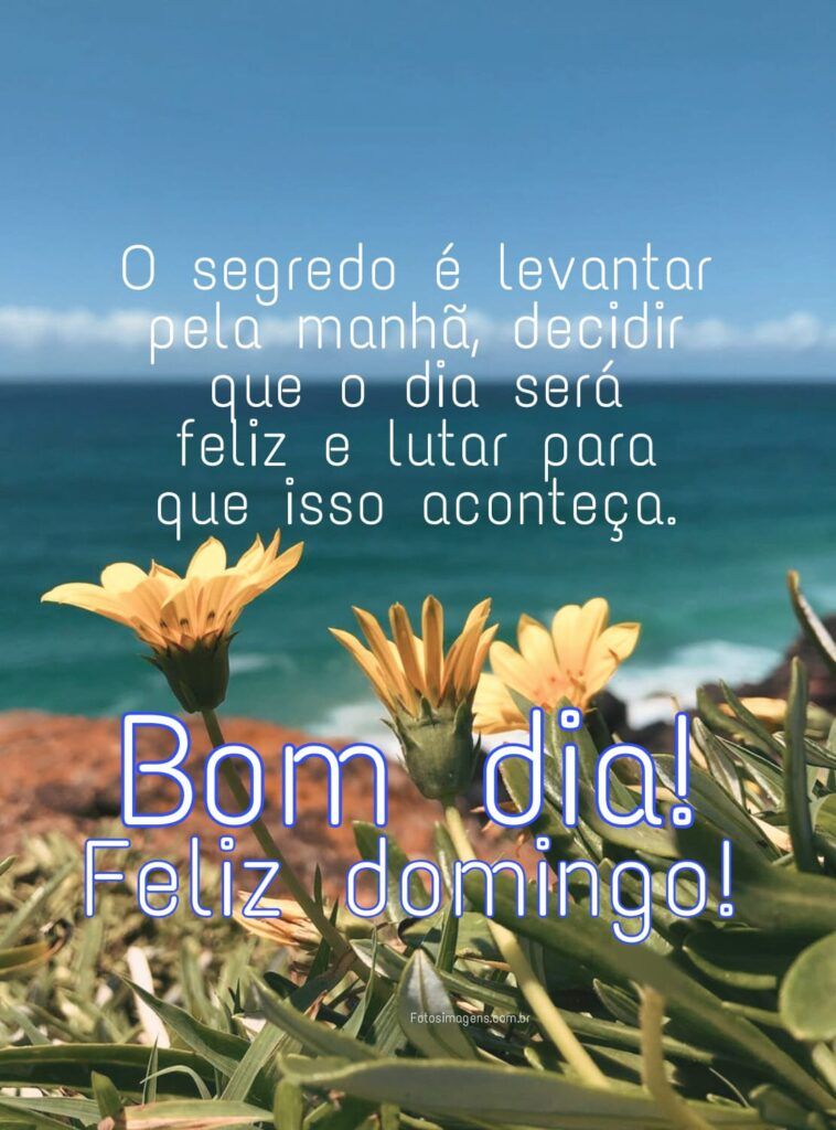 O segredo é levantar, feliz domingo