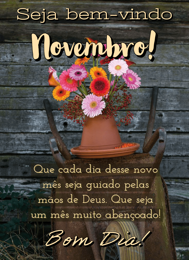Seja bem vindo novembro bom dia