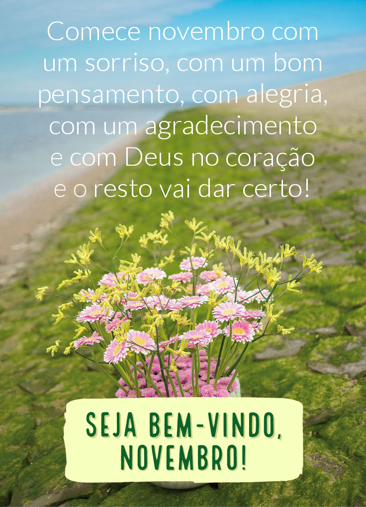 Seja bem vindo novembro
