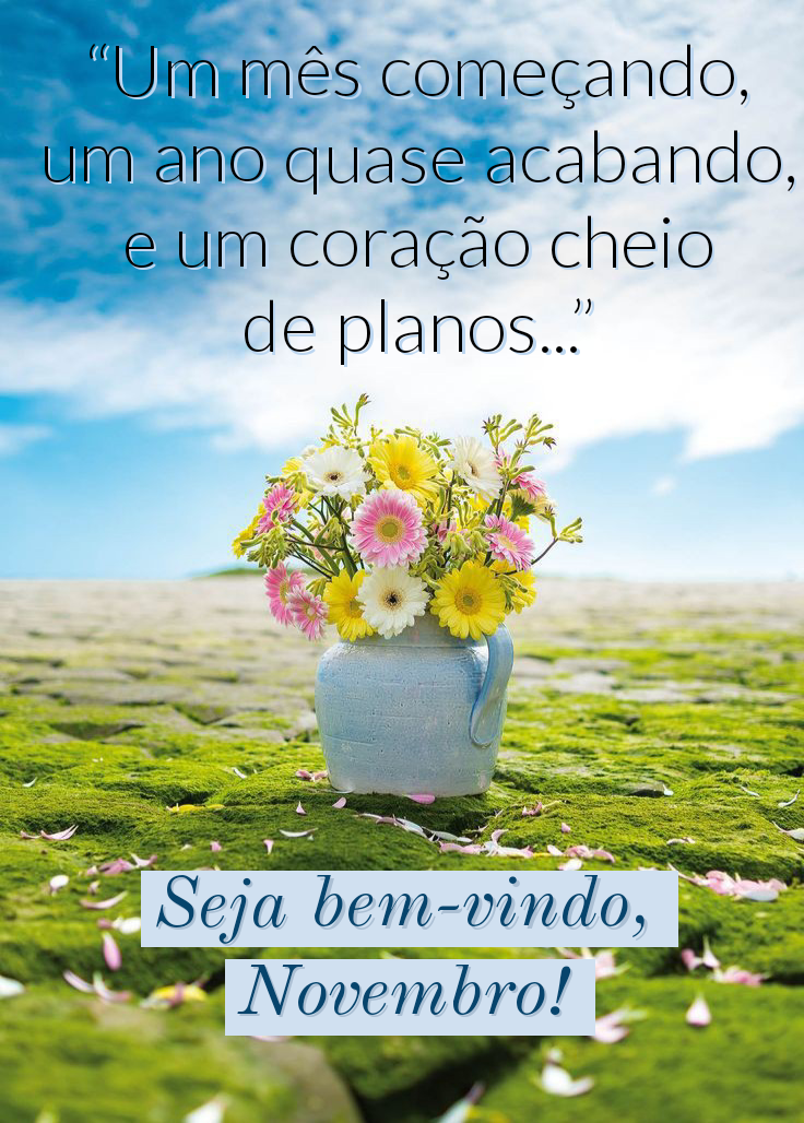 Seja muito bem vindo novembro