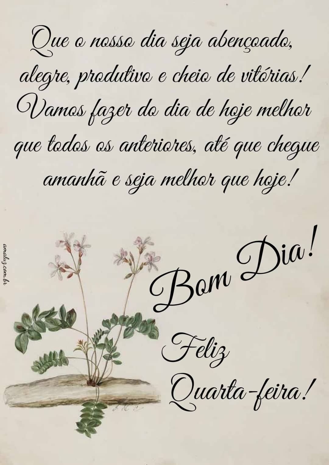 Tenha uma feliz quarta-feira