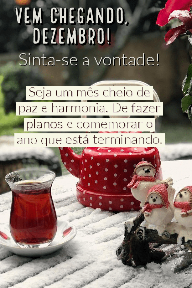 Vem chegando dezembro sinta-se a vontade