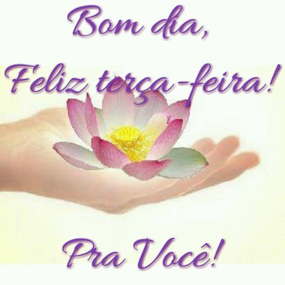 bom dia e feliz terça feira para você