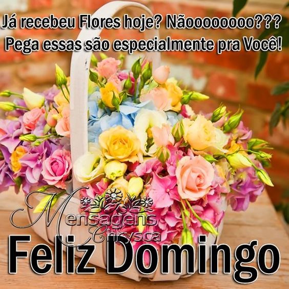 Feliz domingo, receba essas flores