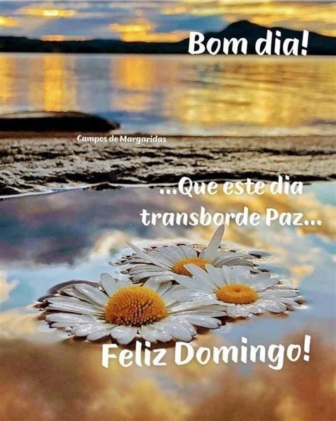 Feliz domingo transbordado de paz