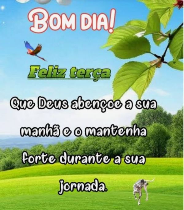 que Deus abençoe a sua manhã bom dia e feliz terça feira
