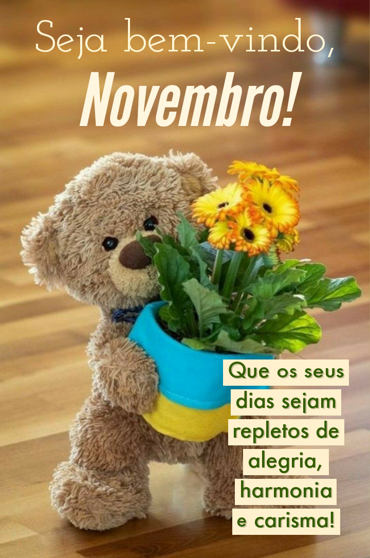 seja bem vindo novembro mensagens