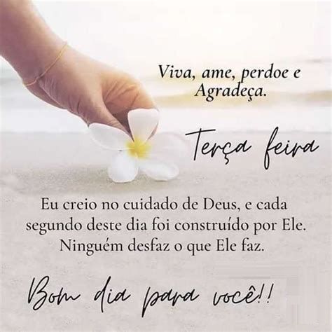viva-ama-perdoa-e-agradeça-bom-dia-e-feliz-terça-feira-para-você