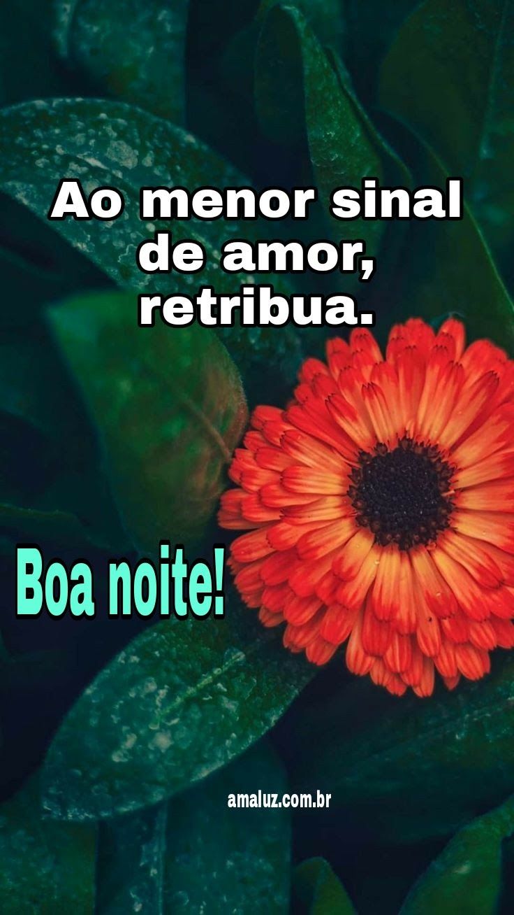 Ao menor sinal de amor, retribua.