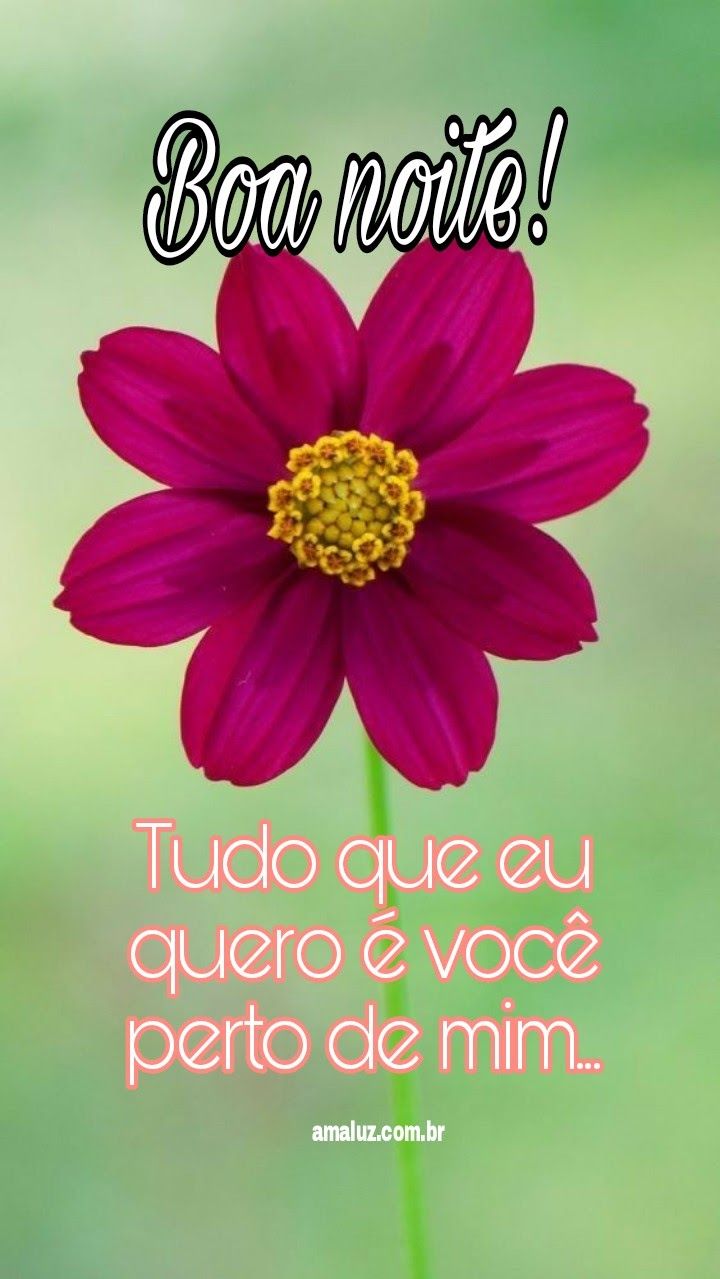 Boa noite! Tudo que eu quero é você perto de mim.