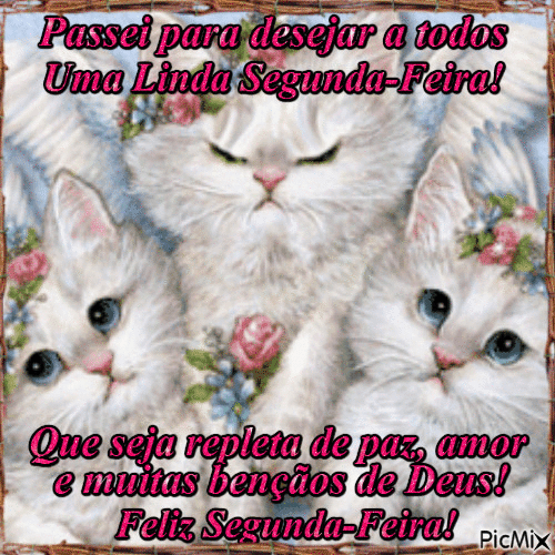 Desejar uma linda segunda-feira