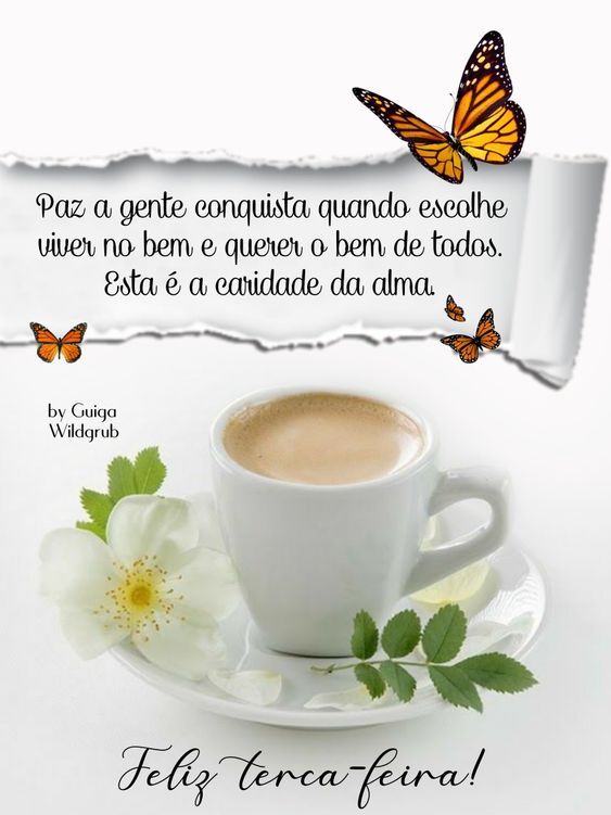 Paz feliz terça-feira