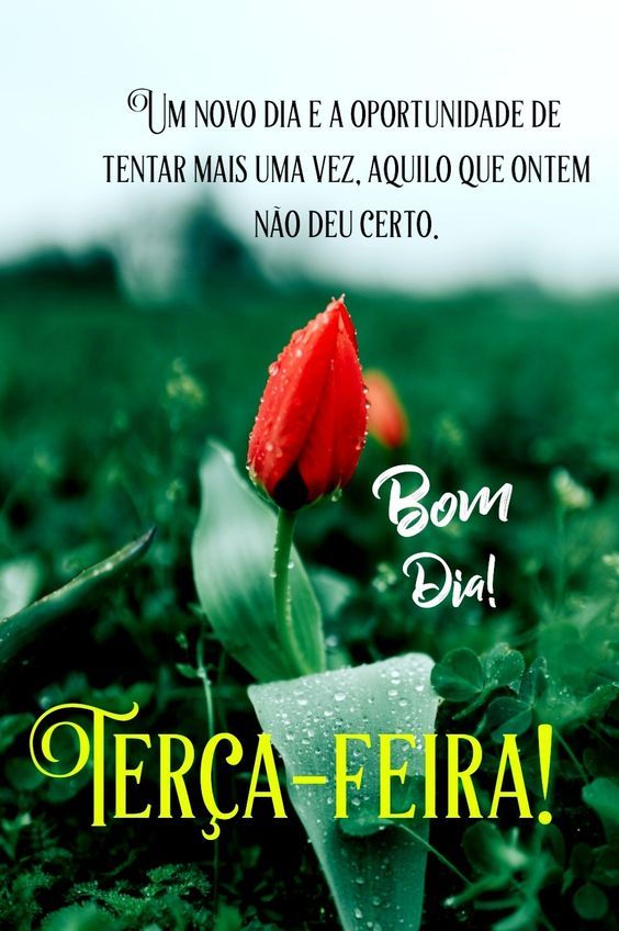 Um novo dia de terça-feira