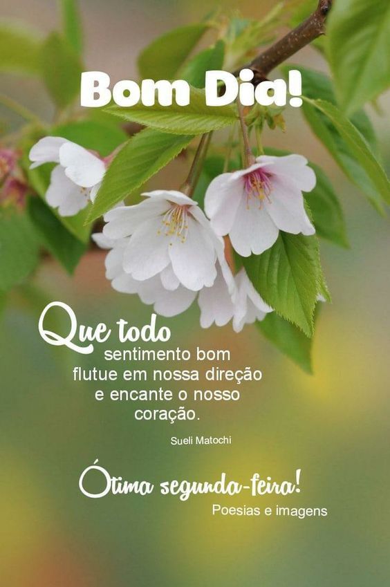 Bom dia Ótima segunda-feira 