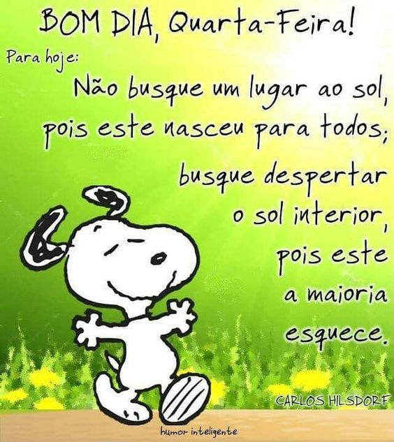 Despertar o sol interior