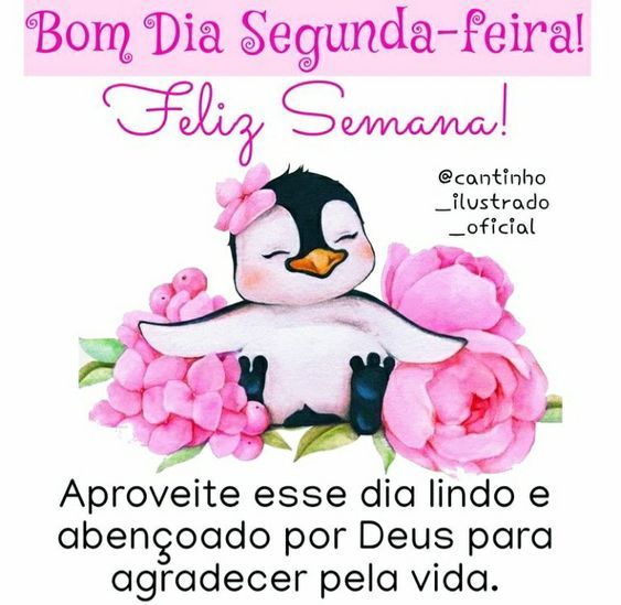 Aproveite esse dia lindo