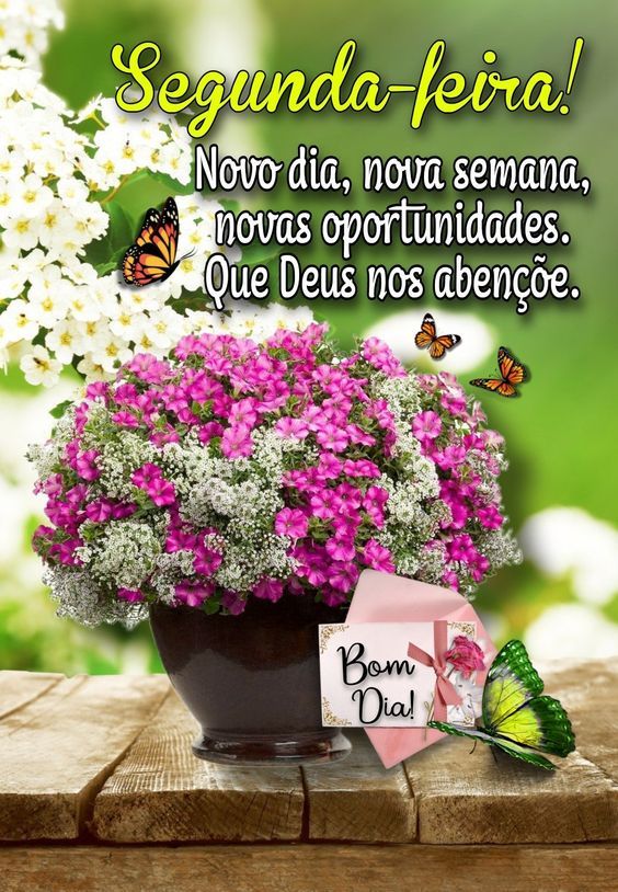 Segunda-feira nova semana