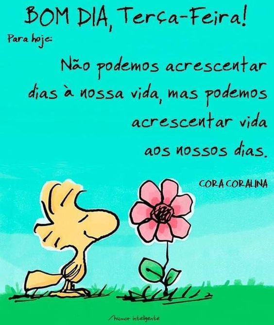 Para hoje terça-feira