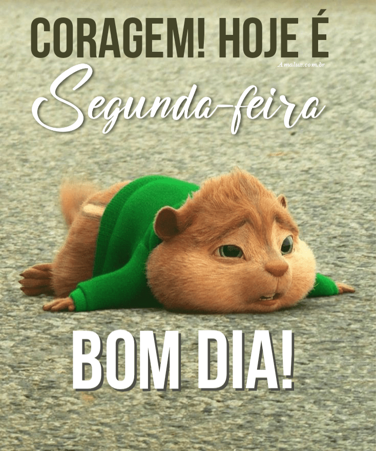 Bom dia coragem hoje é segunda-feira