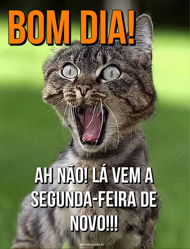Bom dia é segunda-feira de novo