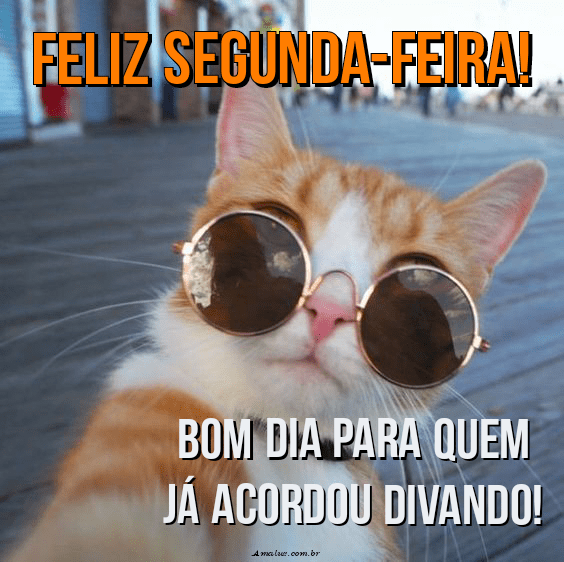 Bom dia Segunda-feira Engraçada! Frases para Animar a Semana