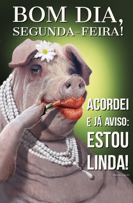 Bom dia segunda-feira acordei e já aviso estou linda