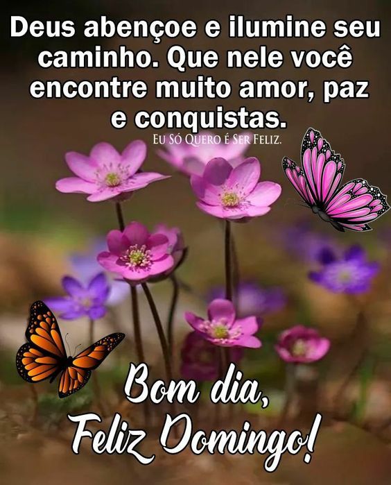 Deus ilumine seu domingo